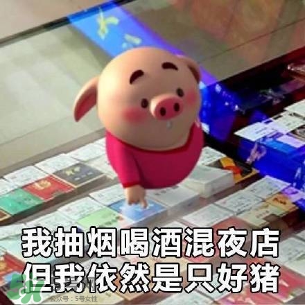 豬小屁表情包是什么？豬小屁表情包為什么這么火？