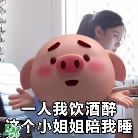 豬小屁多少錢一個(gè)？豬小屁哪里可以買到