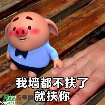 豬小屁多少錢一個(gè)？豬小屁哪里可以買到