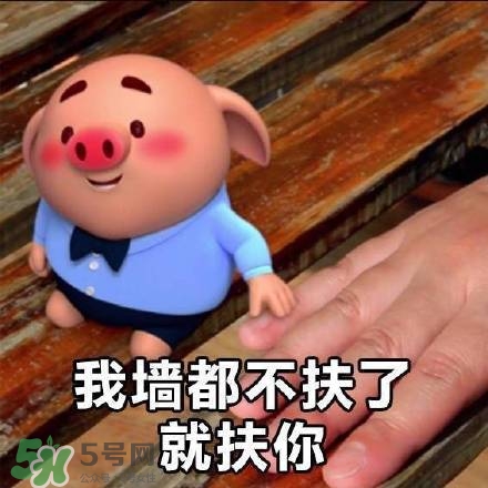 豬小屁表情包是什么？豬小屁表情包為什么這么火？