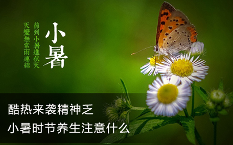 小暑怎么注意養(yǎng)生 小暑要吃什么