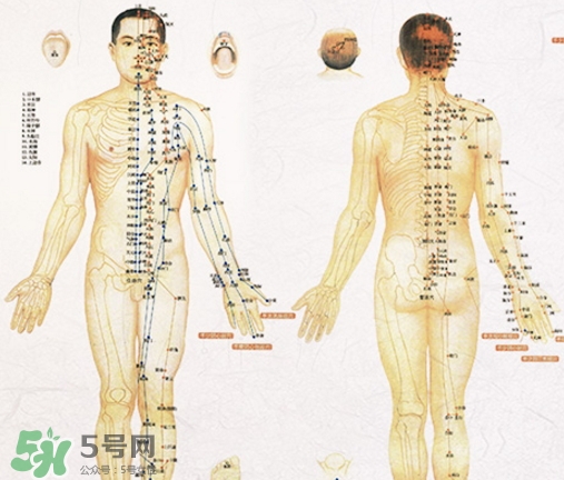 貼三伏貼可以吃西瓜嗎？貼三伏貼吃西瓜有什么害處