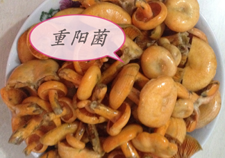 重陽(yáng)菌多少錢(qián)一斤？重陽(yáng)菌怎么清洗