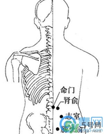 三伏灸可以治腰腿痛嗎？三伏灸治腰腿痛灸哪里》