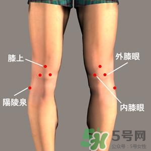 三伏灸可以治腰腿痛嗎？三伏灸治腰腿痛灸哪里》