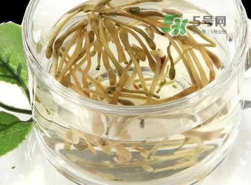 金銀花茶要怎樣泡才好喝？金銀花茶最佳泡茶水溫是多少