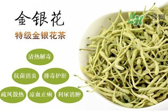 金銀花茶是去火的嗎？金銀花茶有什么功效與作用