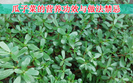 梅干菜會(huì)致癌嗎？致癌屬誤傳