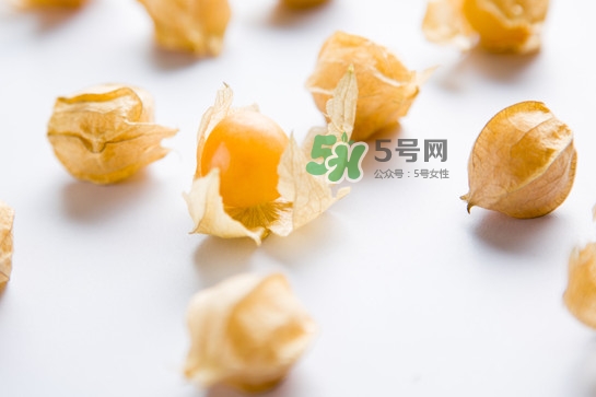 菇娘是寒性還是熱性？菇娘是哪里產(chǎn)的