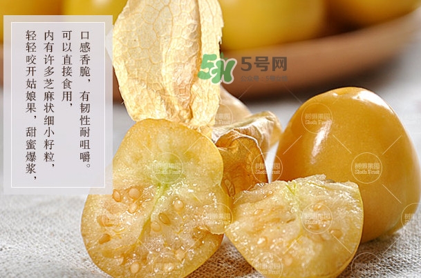 菇娘是寒性還是熱性？菇娘是哪里產(chǎn)的