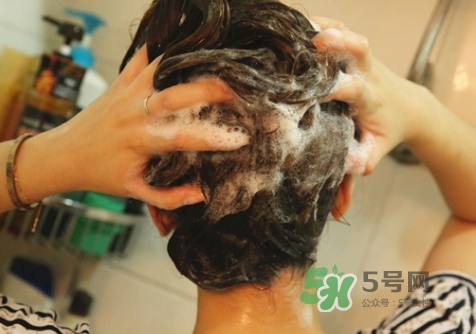 hair recipe水果洗發(fā)水怎么樣？hair recipe洗發(fā)水哪款好用