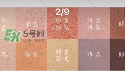 zoeva玫瑰金眼影盤怎么畫？zoeva rose golden畫法教程