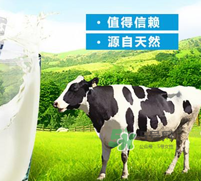 牛初乳是奶粉嗎？牛初乳跟奶粉的區(qū)別