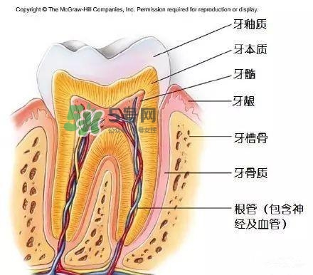 regenerate牙膏多少錢？regenerate牙膏專柜價格