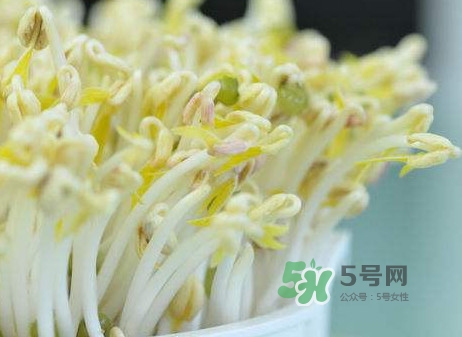 豆芽什么季節(jié)吃？豆芽什么時(shí)候有