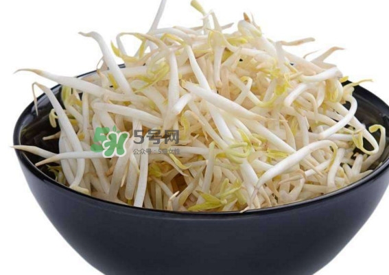 豆芽什么季節(jié)吃？豆芽什么時(shí)候有