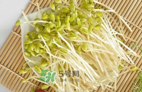 豆芽有根好還是無根好？無根豆芽與有根豆芽區(qū)別