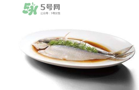 鰣魚還有嗎？長江鰣魚滅絕了嗎