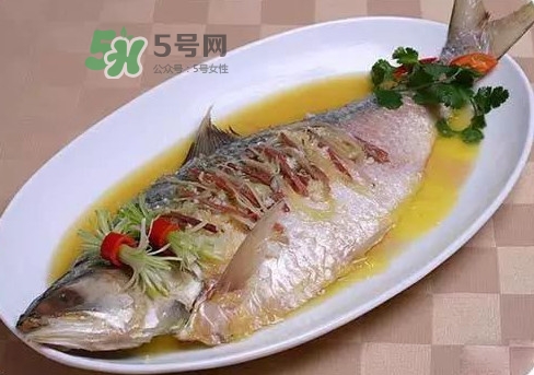 鰣魚怎么讀？鰣魚是什么魚