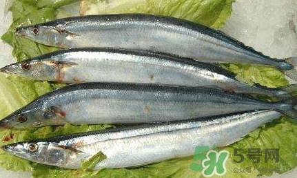 鰣魚(yú)和刀魚(yú)哪個(gè)貴？長(zhǎng)江三鮮哪個(gè)最貴