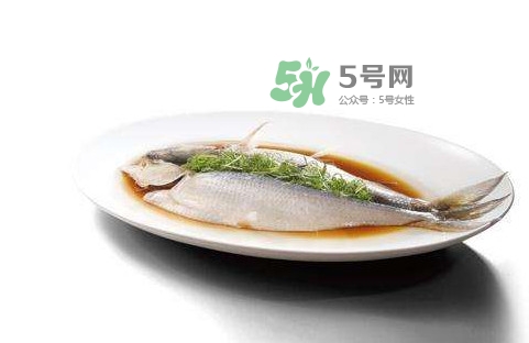 鰣魚刺多嗎？鰣魚可以養(yǎng)殖嗎