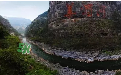 茅臺酒為什么那么貴？茅臺酒為什么這么貴