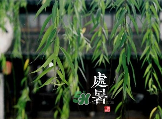 2017處暑還熱嗎？2017處暑后天氣還熱嗎？