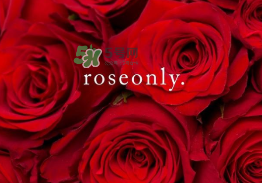 2017七夕禮盒roseonly多少錢？roseonly巨型玫瑰禮盒多少錢？