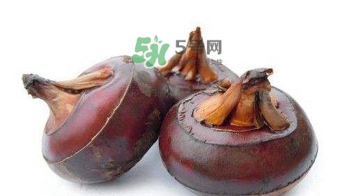 野荸薺怎么吃？野荸薺的食用功效