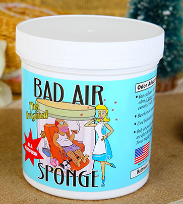 Bad Air Sponge有用嗎？Bad Air Sponge效果如何？