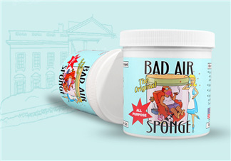 Bad Air Sponge有用嗎？Bad Air Sponge效果如何？