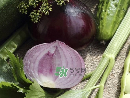 皮芽子發(fā)芽了可以吃嗎？新疆人為什么都愛(ài)吃皮芽子