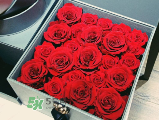 roseonly怎么買？roseonly如何買第二次？