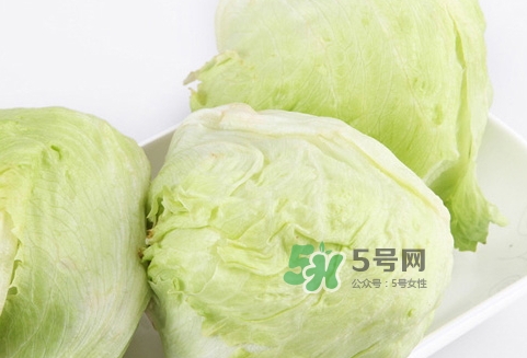 球生菜的營養(yǎng)價(jià)值_球生菜的功效與作用及食用方法