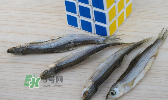 刁子魚是發(fā)物嗎？刁子魚是不是發(fā)物