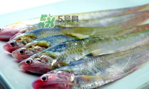 刁子魚是秋刀魚嗎？刁子魚是海魚嗎？