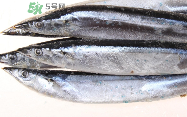 秋刀魚是海魚嗎？秋刀魚是淡水魚還是海魚