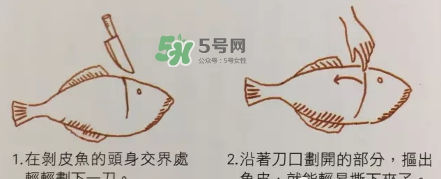 剝皮魚為什么要?jiǎng)兤?？剝皮魚的皮有毒嗎？