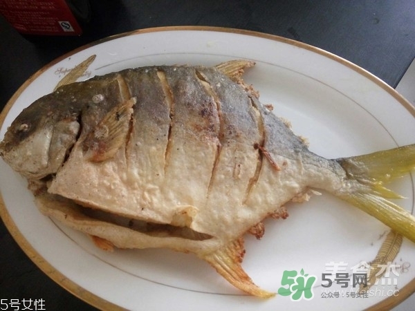 金鯧魚是海魚嗎？金鯧魚的刺多嗎？