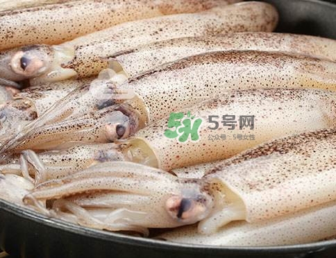 筆管魚是什么魚？筆管魚怎么吃