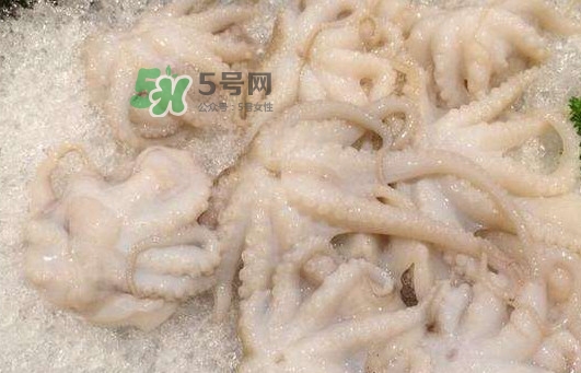 八爪魚的頭能吃嗎？八爪魚的頭里面是什么