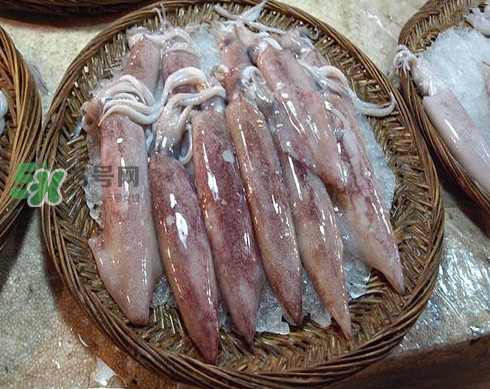 新鮮魷魚怎么保存？魷魚可以冷凍嗎