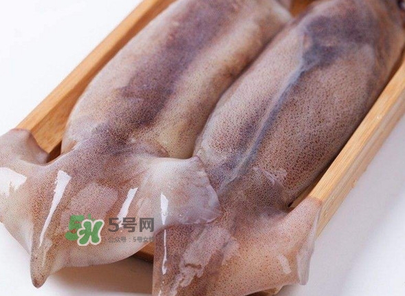 新鮮魷魚怎么保存？魷魚可以冷凍嗎