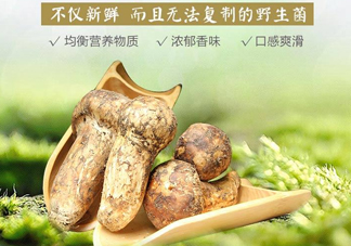 新鮮松茸怎么挑選？干松茸如何挑選