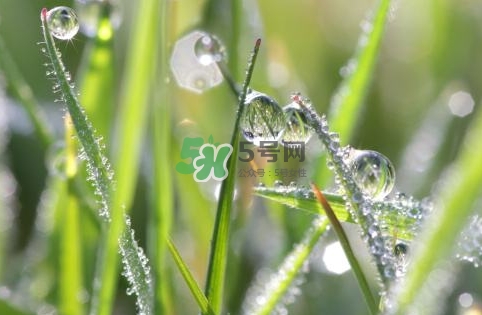 2017白露后天氣還熱嗎_2017白露后是秋天嗎