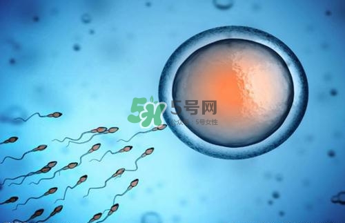 精子在女性體內(nèi)可以存活多久？男性的精子會枯竭嗎？