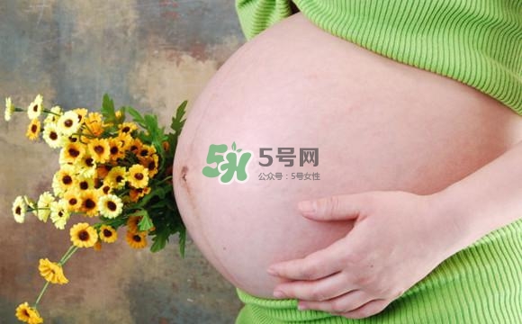 為什么孕婦的肚子有尖有圓？孕婦肚子尖圓對(duì)照?qǐng)D