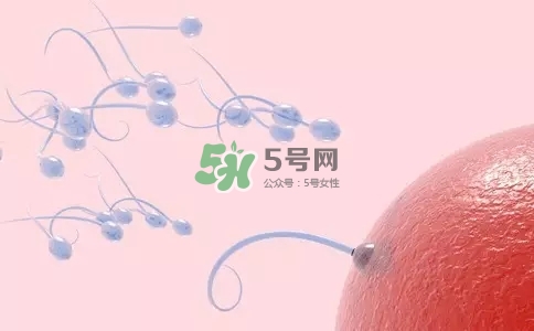 精子在女性體內(nèi)可以存活多久？男性的精子會枯竭嗎？