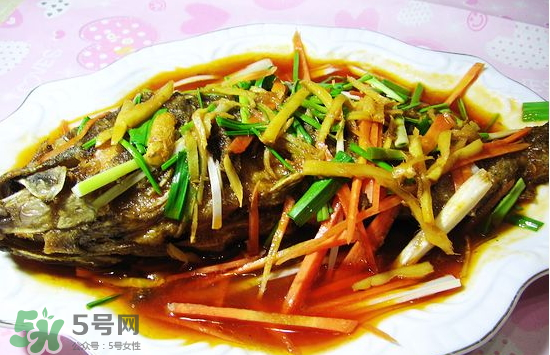 黑魚(yú)能愈合傷口嗎？黑魚(yú)為什么對(duì)傷口愈合？