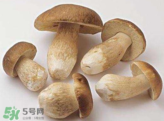 牛肝菌要泡發(fā)多久？牛肝菌怎么清洗